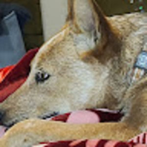 Meet your Posher, Fathiyyah